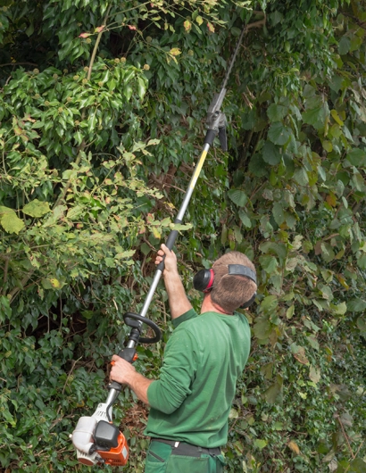 Precision Tree Trimming