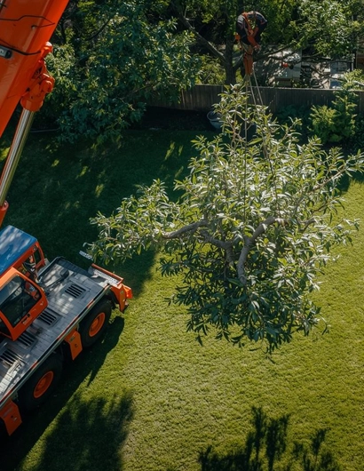 Advanced Crane-Assisted Removal for Ballantyne, NC Properties